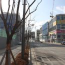 다정동_다정센타프라자앞 이미지