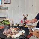 바베큐킹 이미지