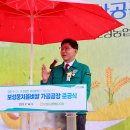 보성가공