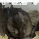라진기업 | 하이힐을 숭배하라! | 260310 킹키부츠