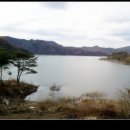 능강민박 이미지