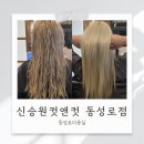 신승원컷앤컷 동성로점 | 동성로미용실 신승원컷앤컷 동성로점 전후가 미쳐버린 신데렐라 받고왔어요