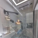 정샘 동물병원 네이버블로그
