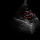 24시프라임동물병원 이미지