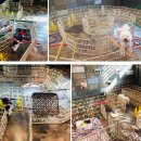 멍스토리 이미지