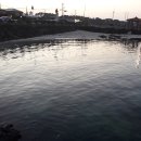 월백 민박 이미지