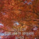 여명로25번길 이미지