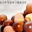 감탄축산