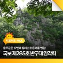 염원의 타임캡슐 | '반구대 암각화’는 국보 제285호/울주군은 17번째 유네스코 등재를 염원!