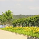 먹거리마당 이미지