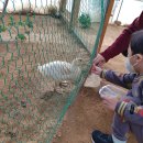 나눔염소농장 이미지