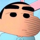 노코리카 이미지
