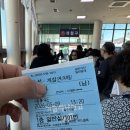 독도리 | 여행] 독도크루즈 타고 대한민국 최동단 다녀온 후기/독도접안여부 사이트(멀미약,신분증 필수,독도 꿀팁)