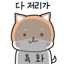 클린가드 이미지