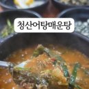청산어탕 이미지