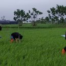 고양시농업기술센터 이미지