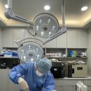 양덕동물병원 | 포항 양덕동물병원, 고양이 병원 선택이 어렵다면 2가지 꼭 확인하세요!