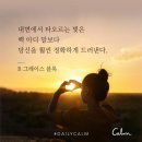 데일리캄(dailycalm)