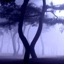 빛으로 그린 세상 이미지