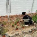 혜인1농장 이미지