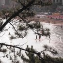 죽도민박 이미지