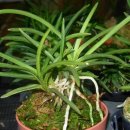 건국농원 이미지