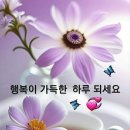 7월 11일 목요일 간추린 뉴스와 날씨 이미지