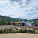 부항천 | 김천 부항댐 출렁다리 오봉저수지 가볼만한 곳