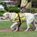 기장장애인복지관 이미지