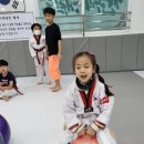 한우리 태권도 이미지