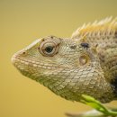 테라리움동물병원 이미지