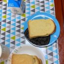 도리포민박 이미지