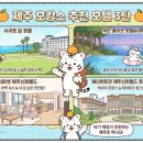 네이쳐휘트니스클럽 | 제주도 호캉스 추천 호텔 3탄