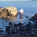 마레미오 커플가족&오션뷰펜션 | 통영펜션 매력 넘치는 통영의 숨은 보석 '마레미오 커플가족 오션뷰펜션'