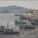 멍텅구리 이미지