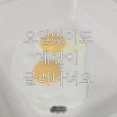 공구의거리 | 라포레 플레이팅팬 공구 솔직후기