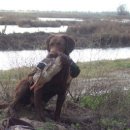 베이동물병원 이미지