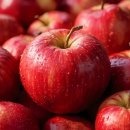 북안동농협 이미지