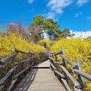 바람불어 좋은날~도심소풍 이미지