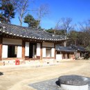 우물청과 이미지