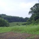 효자 오백주 정문 이미지