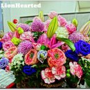 백야바다 이미지