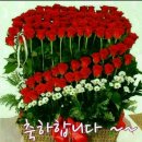 홍성군테니스협회
