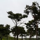 금마3농장 이미지