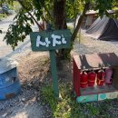 용인단풍숲캠핑장 이미지