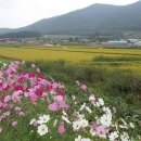 종구농장 이미지