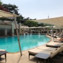 신라호텔 이미지