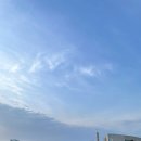 보아스식당 이미지