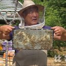 이상열농장 이미지