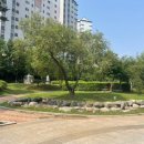 반디어린이공원 이미지